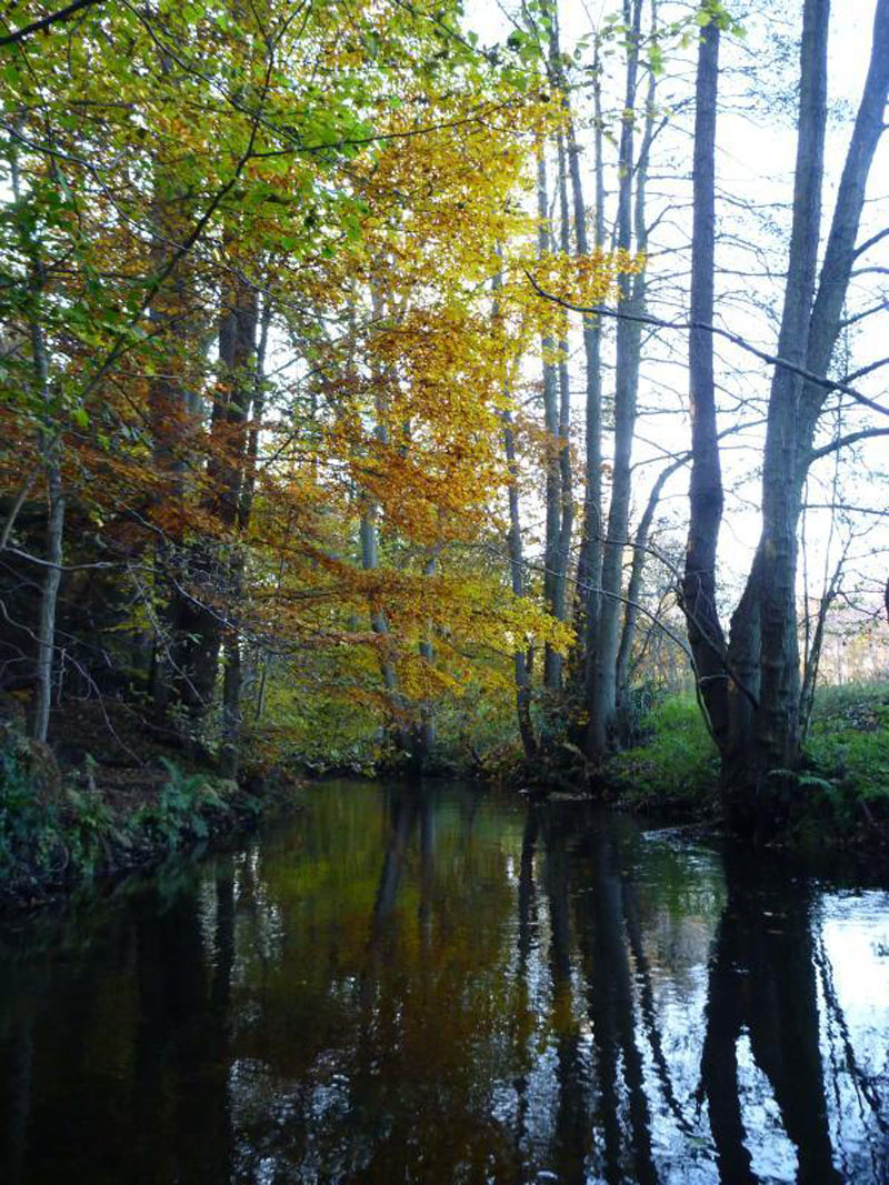 Herbst
